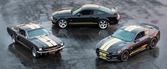50-years-of-Shelby